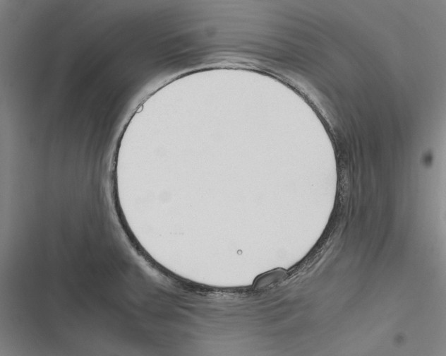 X0000116311379201001111129