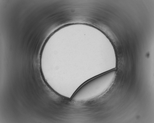 X0000116311380201001111129