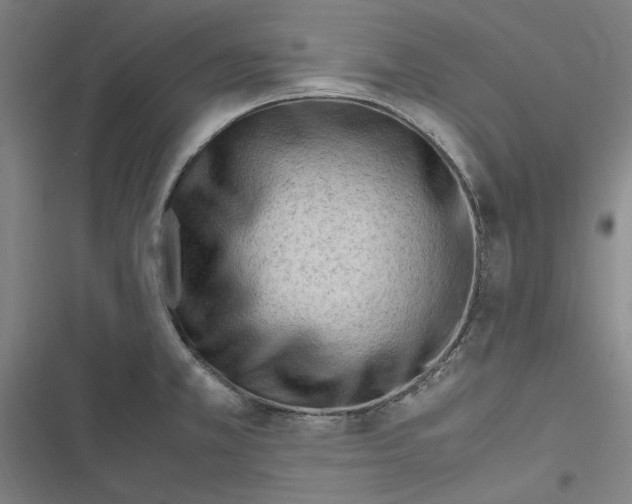 X0000116311381201001111129