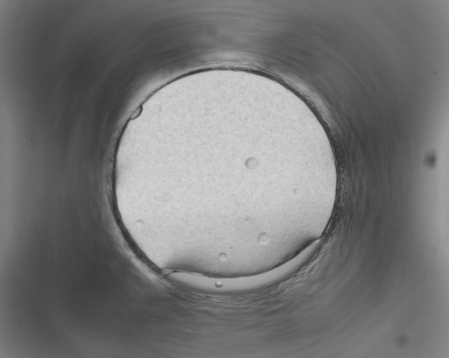 X0000116311383201001111129