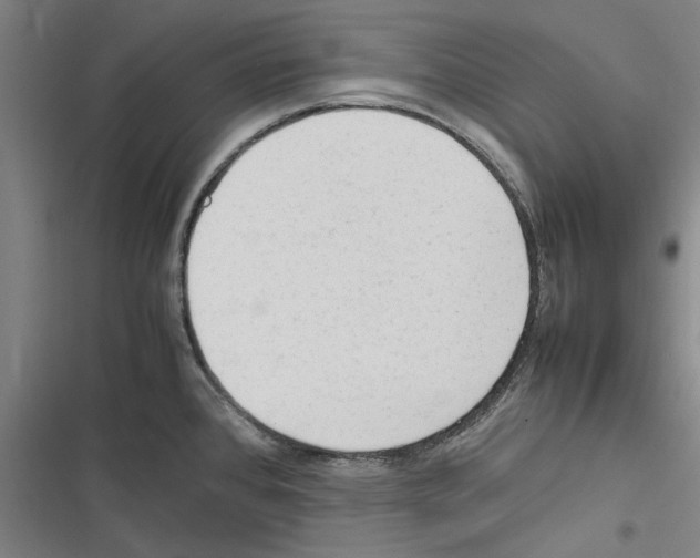 X0000116311384201001111129