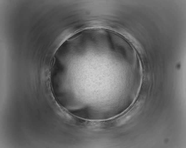 X0000116311385201001111129