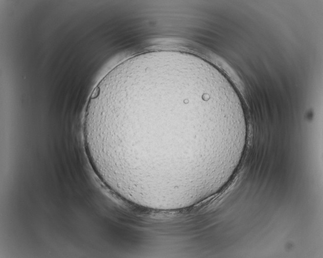 X0000116311386201001111129