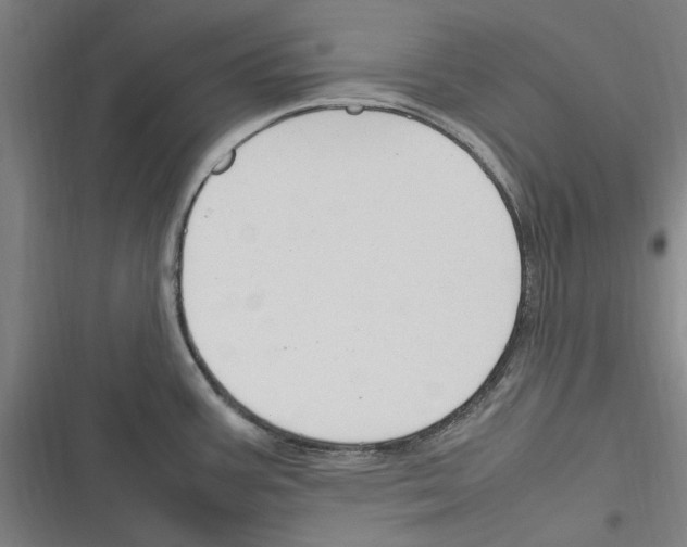 X0000116311387201001111129