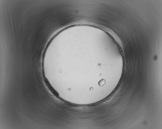 X0000116311388201001111129