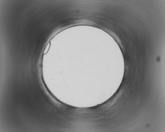 X0000116311391201001111129