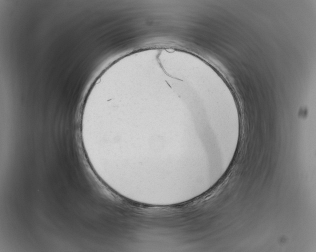 X0000116311392201001111129