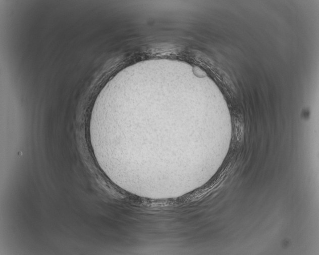 X0000116311393201001111128