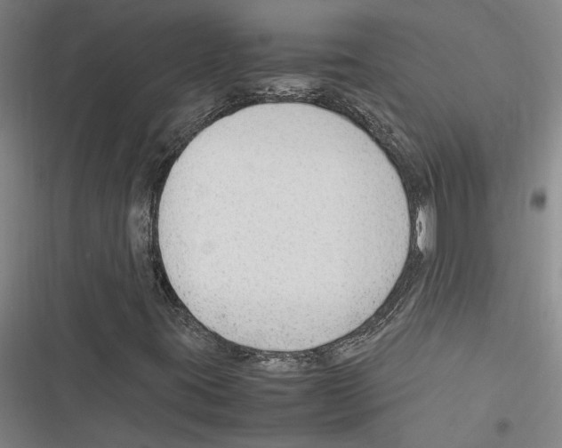 X0000116311395201001111128