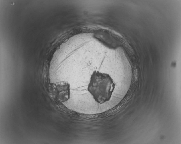 X0000116311397201001111128