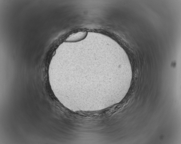 X0000116311398201001111128