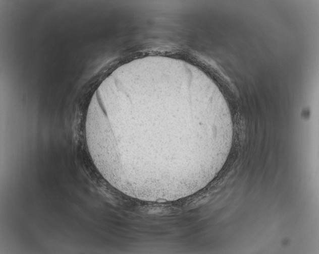 X0000116311399201001111128