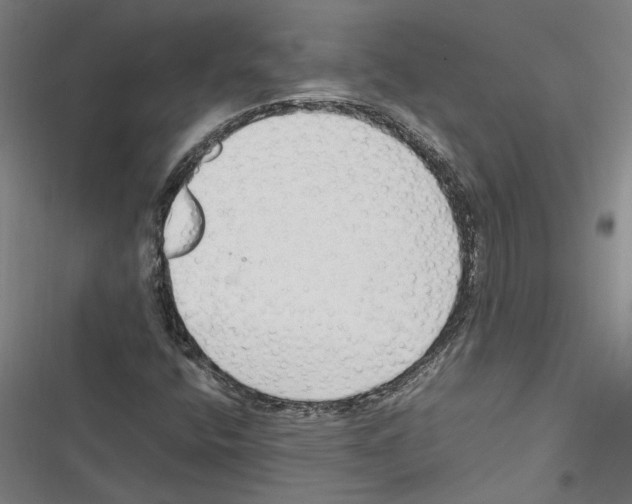 X0000116311400201001111128