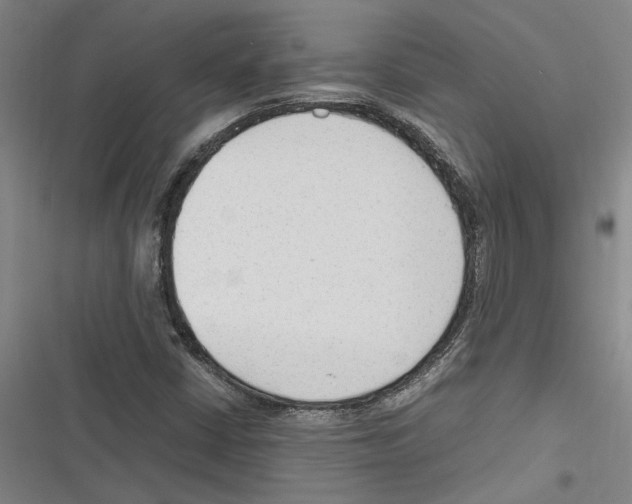 X0000116311402201001111128