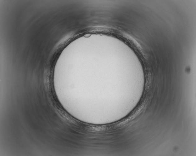 X0000116311403201001111128