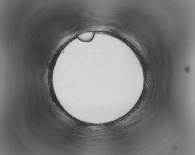 X0000116311404201001111129