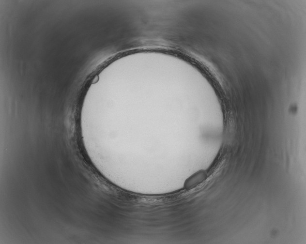 X0000116311407201001111129