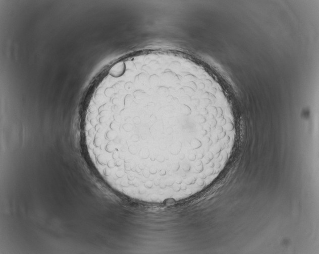 X0000116311408201001111129