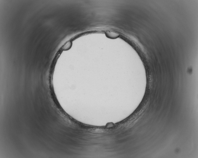 X0000116311412201001111129