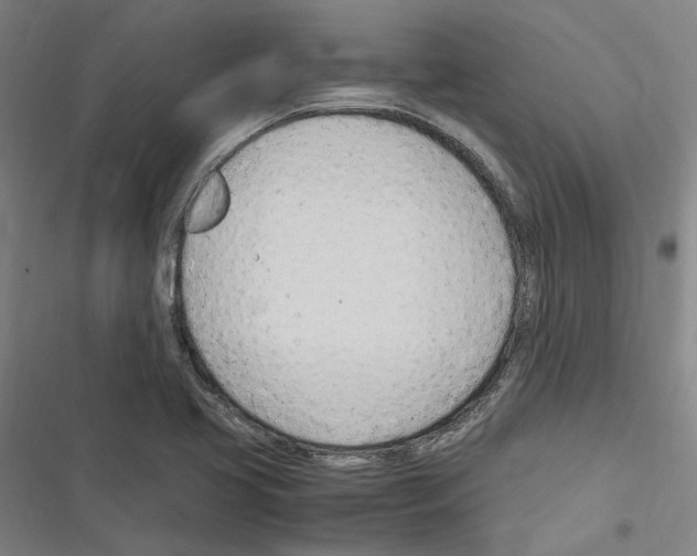 X0000116311413201001111129