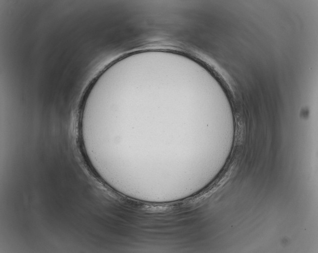 X0000116311415201001111129