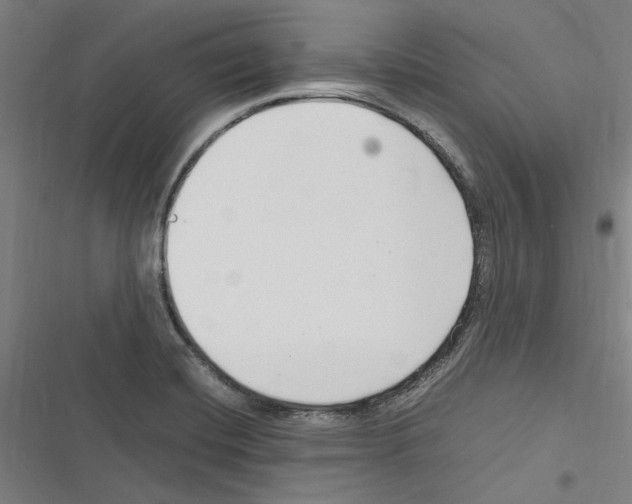 X0000116311420201001111129