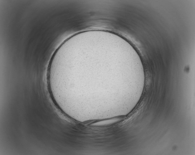 X0000116311423201001111129