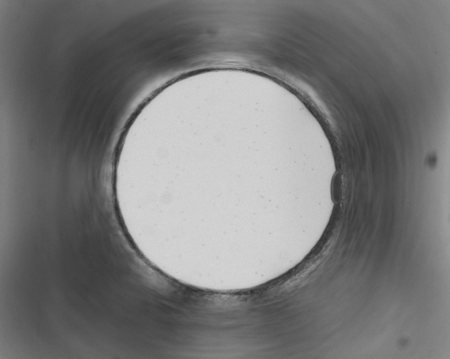 X0000116311424201001111129