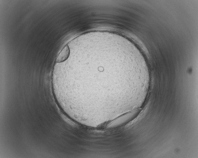 X0000116311425201001111129