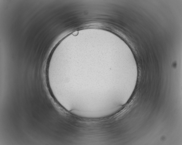 X0000116311426201001111129