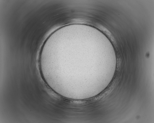 X0000116311427201001111129