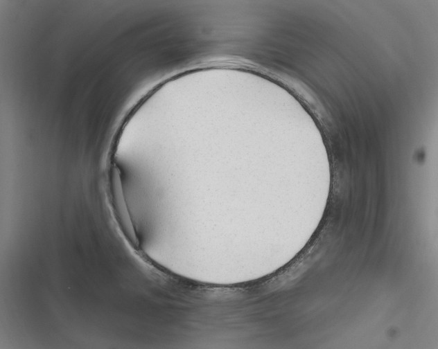 X0000116311430201001111129