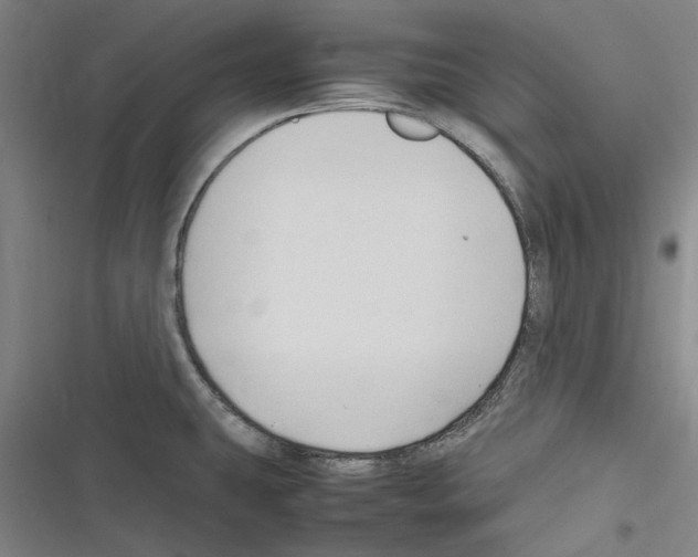 X0000116311431201001111129