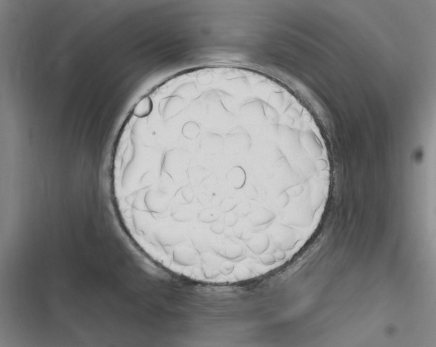 X0000116311432201001111129