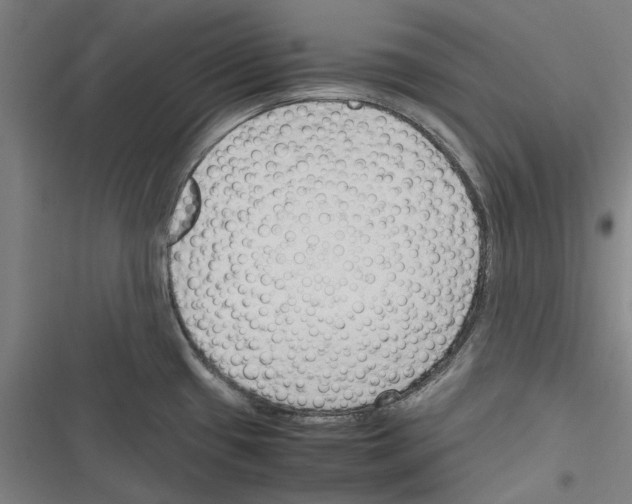 X0000116311433201001111129