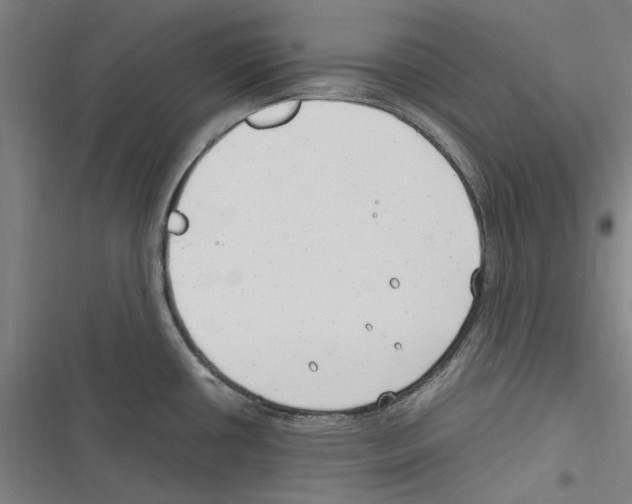 X0000116311434201001111129