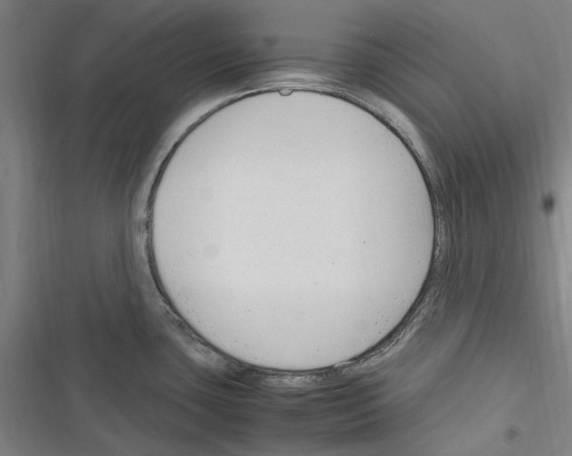 X0000116311435201001111129