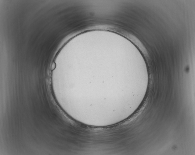 X0000116311436201001111129