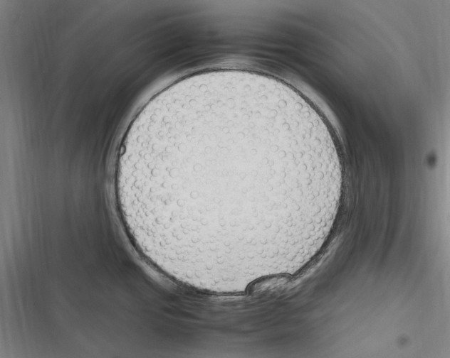 X0000116311437201001111129