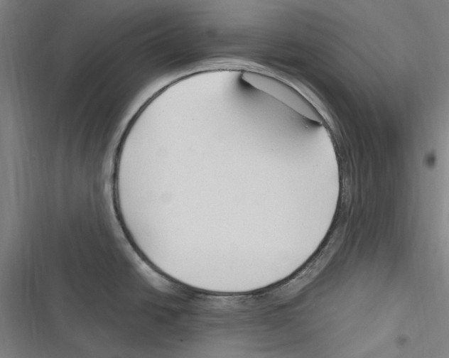 X0000116311438201001111129