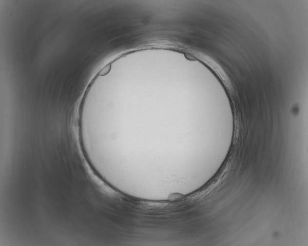 X0000116311439201001111129