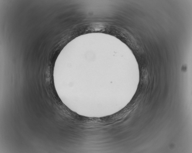 X0000116311442201001111128