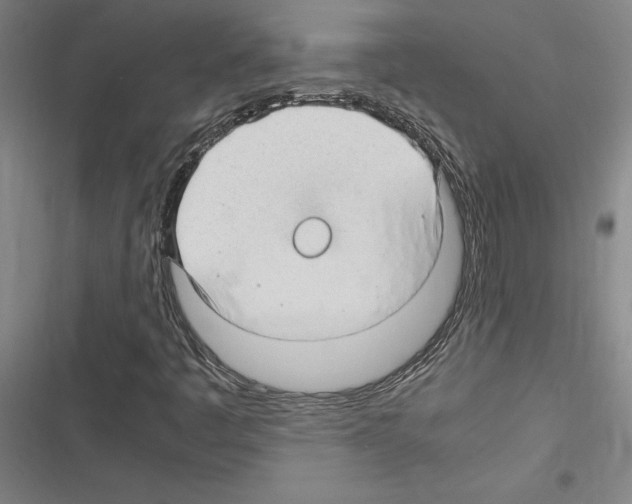 X0000116311445201001111128