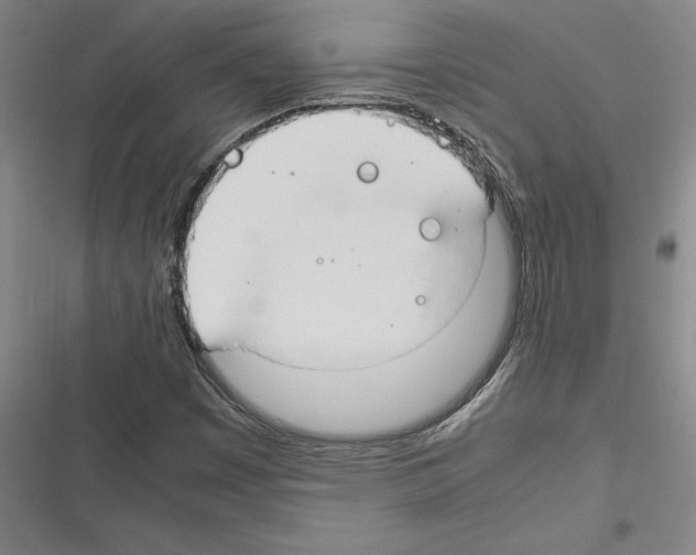 X0000116311449201001111128