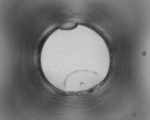 X0000116311450201001111128