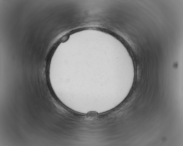 X0000116311452201001111128