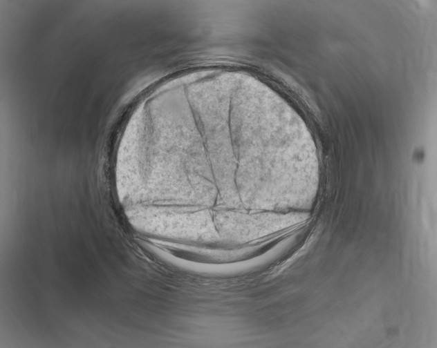 X0000116311453201001111128