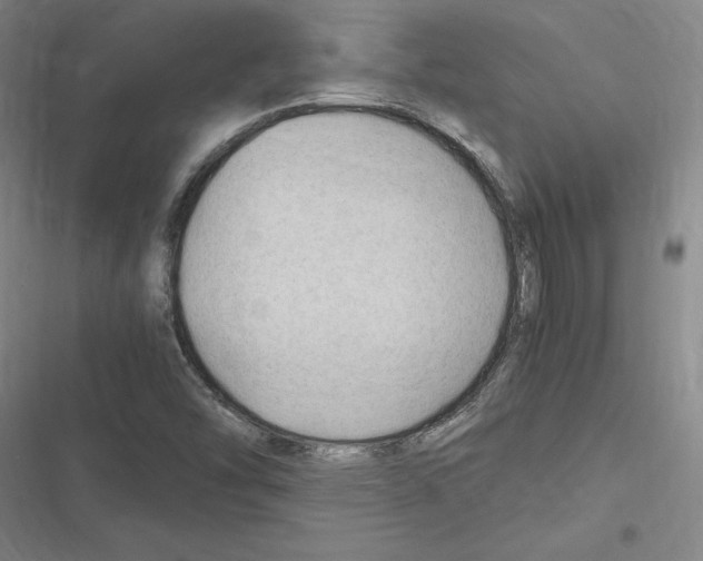 X0000116311454201001111128