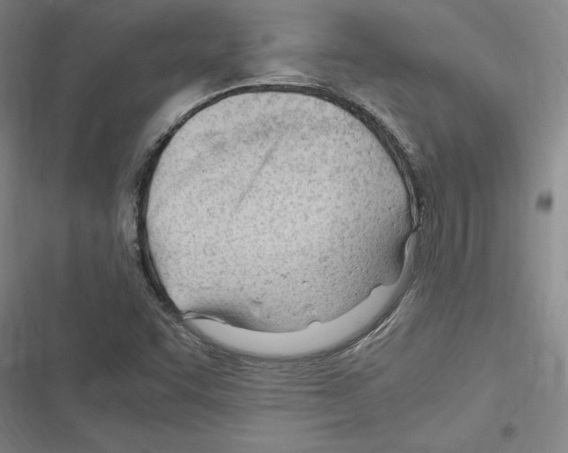 X0000116311455201001111128