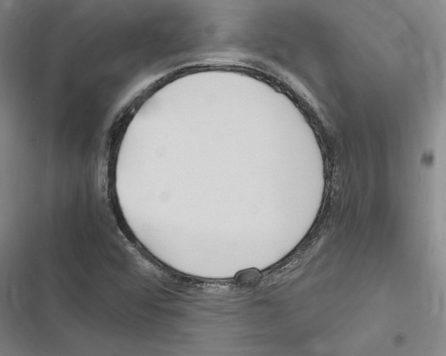 X0000116311456201001111128